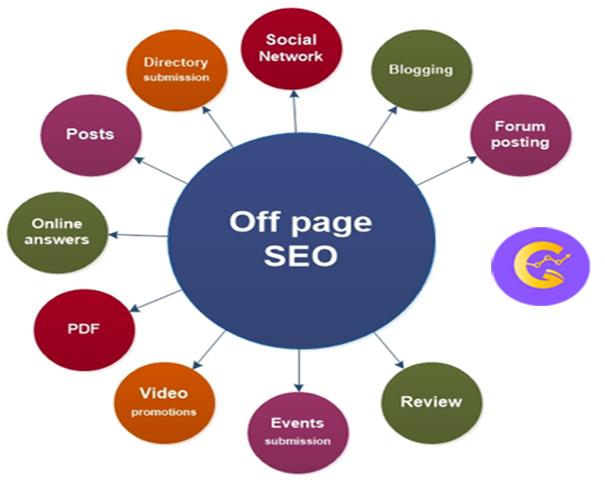 professional seo company